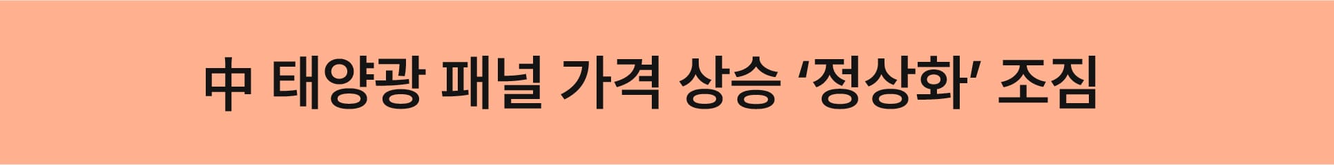중국산 패널